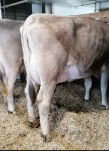 39860b32-354f-4c8d-b6a2-4fc6d89ee5f5